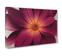 Harmonious Daisy Flower Canvas Print | Gallery Wrapped 30mm Frame Wall Art | 30x20 inches | Ready to Hang | Contemporary Floral Picture | Living Room Bedroom Lounge Office