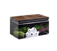 Harmony Aquatic Tank by Clairnara - Harmony Legend - iF Design Award Winning 10 Gallon All-in-One Aquarium