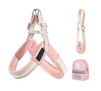 Harness and Lead for Small Dogs - Adjustable Harness and Strap - Storage Bag Included Anti-Rotation Accessory for Walking in the City Beach Hiking Park Garden