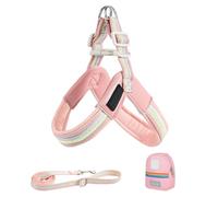 Harness and Lead for Small Dogs, Adjustable Puppy Harness with Strap | Comfortable Safety Accessory with Bag for Walks in the City, Park, Garden, Hiking, Running