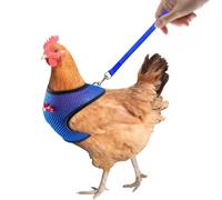 Harness by Chicken, Chicken Harness, TRACTION Adjustable Harness Tarnante | Comfortable Vest Pet Supplies, 3.6 ft Training Rope for Hens, Ducks, Geese and Small Pets