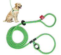 Harness Dog Harness and Leash Set, Anti Pull, One-Piece Cushioned Rope, Safely Prevents Escaping and Pulling, New Insert is Removable (Medium/Large, Peacock/Blue/Lime)