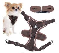 Harness for Cat Adjustable Breathable Soft Anti-Escape | Jogging Lead for Cats Kitten Small Dogs Daily Outdoor Walking Safety Soft Pet Vest Adjustable Cat Harness Lead Walking Vest