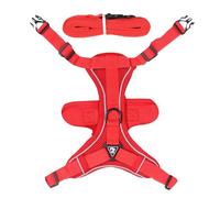 Harness for Cat, Cat Harness and Lead - Reflective Cat Walking Harness, Easy to Control Anti-Escape Cat Harness, Reflective Cat Harness and Lead for Walks in the Friday