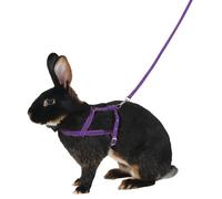 Kerbl Shoulder Harness Agility with Leash, Large, 2 m