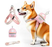 Harness for Small Dogs with Accessory - Adjustable with Harness, Anti-Torsion Equipment Safety Animals with Bag for Training Running Camping Park Hiking