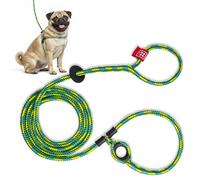 Harness Lead No Pull Dog Harness and Leash Set, Anti Pull Dog Harness, One-Piece Cushioned Rope Safely Prevents Escaping and Pulling *New Insert is Removable (Small/Medium, Rainforest)