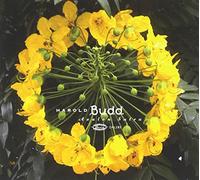 Harold Budd - Avalon Sutra