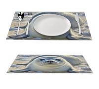 Harp Seal Painting Placemats 12 X 17 Inch PVC Wipeable Table Mat Heat Stain Resistant Place Mat Indoor/Outdoor Waterproof Placemat Decoration for Kitchen Dining Table 1 PCS
