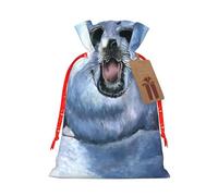 (Harp Seal Painting Wallpaper) Christmas Burlap Gift Bags, Eco-Friendly Polyester Drawstring Pouches For Holiday, Birthday & Party Gift Packaging M