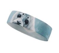 Harp Seal Painting Wallpaper Workout Headband for Men and Women Moisture Wicking Headband for Tennis, Basketball, Running, Gym Outdoor Sports Sweatband