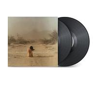 Ben Harper Diamonds on the Inside (Vinyl)