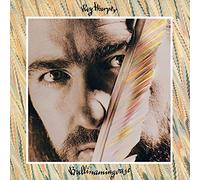 Harper, Roy - Bullinamingvase