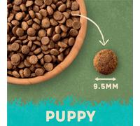 Harringtons Complete Puppy Dry Dog Food Turkey & Rice 10kg - Made with All Natural Ingredients