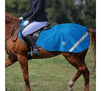 Harrison Howard Climax Exercise Sheet Competition rug Fleece Waterproof Hi-Vis lining (Large: 4' 11'' (Rug Size 6' 3'' - 6' 6''), Azure Sky Blue)