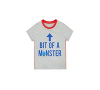 Harry Bear Boy's Bit Of A Monster T-Shirt in Grey | Size: 3-4 Years Harry Bear Grey 3-4 Years