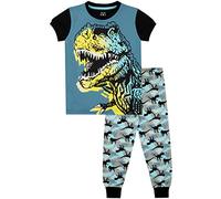 Harry Bear Boys Dinosaur Pyjamas Snuggle Fit Multicoloured Age 10 to 11 Years