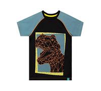 Harry Bear Boys Dinosaur T-Shirt Black Age 11 to 12 Years