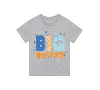 Harry Bear Boys T Shirt | Big Brother T-Shirt | Summer Top for Boys | Grey 3-4 Years