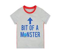 Harry Bear Boys T-Shirt Monster Grey 3-4 Years