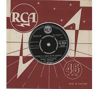 Harry Belafonte And Odetta - Chickens - There's a hole in my bucket