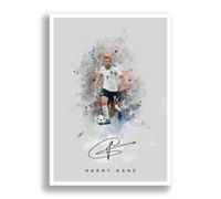 Harry Kane Signed Photo England Poster Print Autograph Framed Display Memorabilia Gift (A3 poster only (grey))