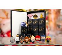 12 Day Advent Decorations Calendar - Harry Potter Harry Potter Multi One Size