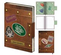 Harry Potter 2027 A5 Diary, Featured Magnet Closure, 21cm x 15cm, Official Licensed Merchandise, One Size