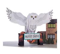 Harry Potter 3D Card - Hedwig Pop Up Gift Includes Hogwarts Envelope and Note for Your Message 15 x 20 cm Officially Licensed Product