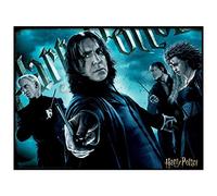 Harry Potter 3D Effect 500 Piece Slytherin Puzzle