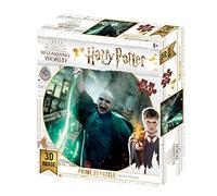 Harry Potter 3D Image Puzzle 500pc Voldemort