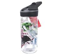 Harry Potter 620ml Water Bottle for Kids with Flip Top Lid Removable Straw