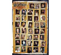 GB eye LTD, Harry Potter 7, Characters, Maxi Poster, 61 x 91.5 cm, Wood, Multi-Colour