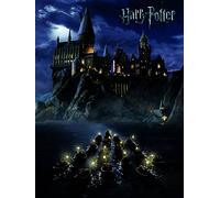 Harry Potter AFWDC94238 Hogwarts School Canvas Print, 40 x 50 cm