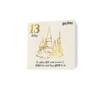 Harry Potter Age 13 Birthday Card