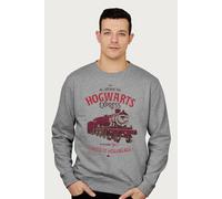 Harry Potter All Aboard The Hogwarts Express London To Hogsmeade Sweatshirt in Mid Grey | Size: 2XL Harry Potter Mid Grey 2XL