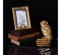 Harry Potter Gold Hedwig Design Photo Frame 4" x 6" Home Accessory Collectable