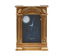Harry Potter - Alumni - Gold Hogwarts Enterance Photo Picture Frame