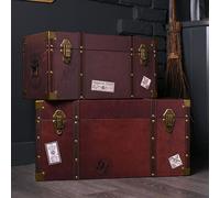 Harry Potter Alumni Large Trunk Set of 2 Warner Bros Multi One Size