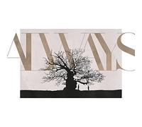 Harry Potter Always Print Digital Silhouette Text Poster Black/Cream 30cm x 40cm