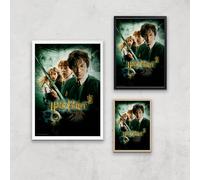 Harry Potter and the Chamber Of Secrets Giclee Art Print - A3 - Wooden Frame