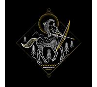 Harry Potter Bane Black Men's T-Shirt - Black - M