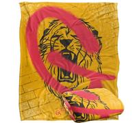 HARRY POTTER Blanket, 152 x 127 cm Gryffindor Graffiti Silky Touch Super Soft Throw Blanket