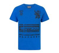 Harry Potter Boys Blue Short Sleeved T-Shirt - 13-14 Years