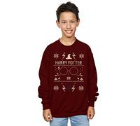 Harry Potter Boys Christmas Pattern Sweatshirt Burgundy 3-4 Years