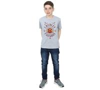 Harry Potter Boy's Chudley Cannons Logo T-Shirt in Grey | Size: 12-13 Years Harry Potter Grey 12-13 Years