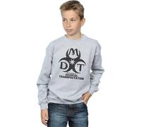Harry Potter Boy's Department Of Magical Transportation Logo Sweatshirt in Grey | Size: 5-6 Years Harry Potter Grey 5-6 Years