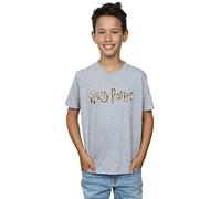 Harry Potter Boys Full Colour Logo T-Shirt Sport Grey 9-11 Years