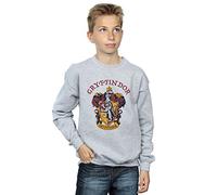 Harry Potter Boys Gryffindor Crest Sweatshirt Sport Grey 5-6 Years