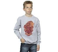 Harry Potter Boys Gryffindor Sketch Crest Sweatshirt Sport Grey 5-6 Years